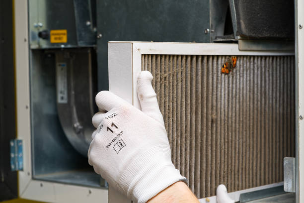 Best Local Air Duct Cleaning Services  in Crescent City, FL