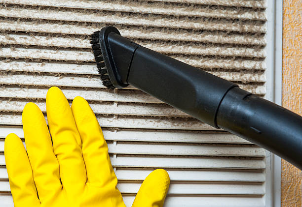 Best Air Vent Cleaning Services  in Crescent City, FL